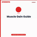 Muscle Gain Guide
